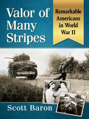 cover image of Valor of Many Stripes